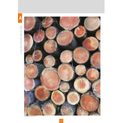 Log boiler specification