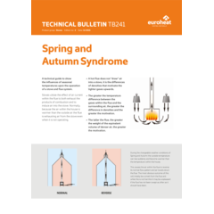 Spring and Autumn Syndrome effecting chimneys